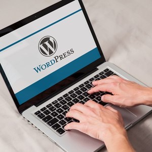 Tvorba webu wordpress a pridávanie článkov